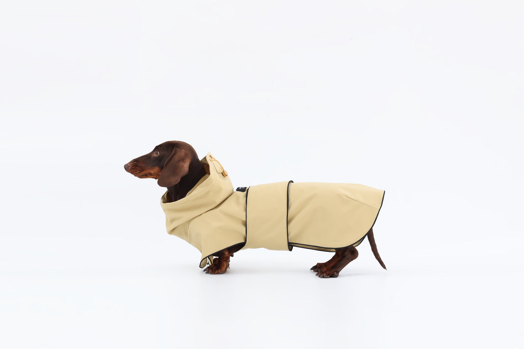 Beige Dachshund Raincoat|Long Back Dog Raincoat