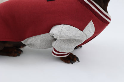 Burgundy Dachshund Sweatshirt|Long Back Dog Sweatshirt