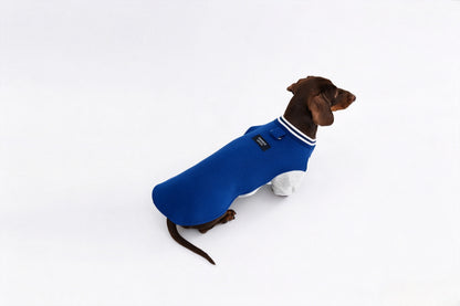Burgundy Dachshund Sweatshirt|Long Back Dog Sweatshirt
