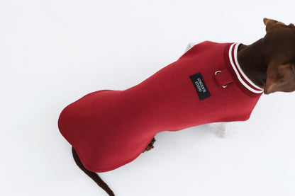 Burgundy Dachshund Sweatshirt|Long Back Dog Sweatshirt