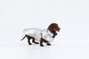 Silver Dachshund Coat|Long Back Dog Coat