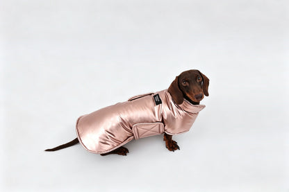 Silver Dachshund Coat|Long Back Dog Coat