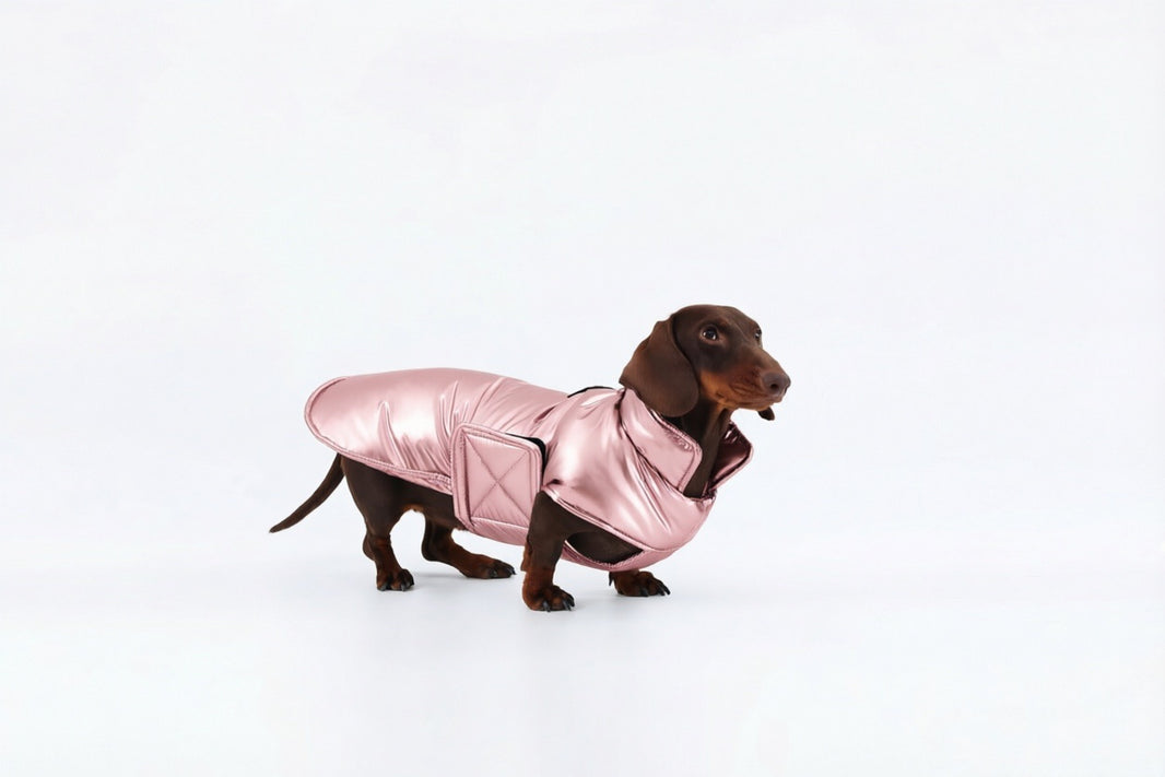 Pink Dachshund Coat|Long Back Dog Coat