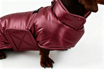 Silver Dachshund Coat|Long Back Dog Coat