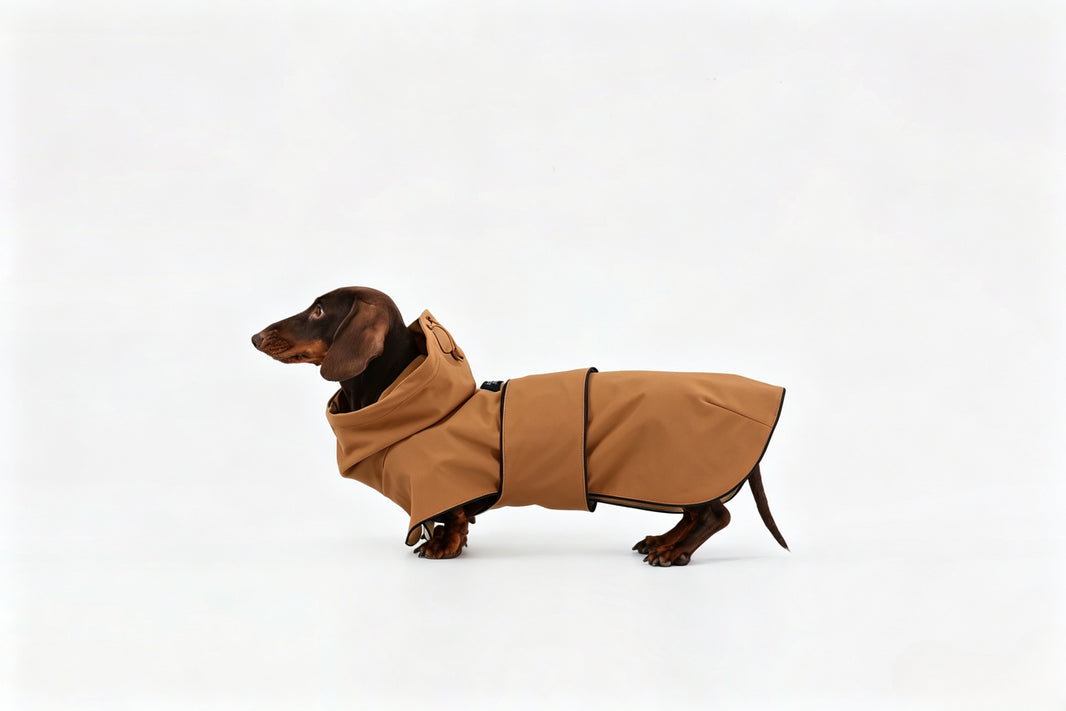Brown Dachshund Raincoat|Long Back Dog Raincoat