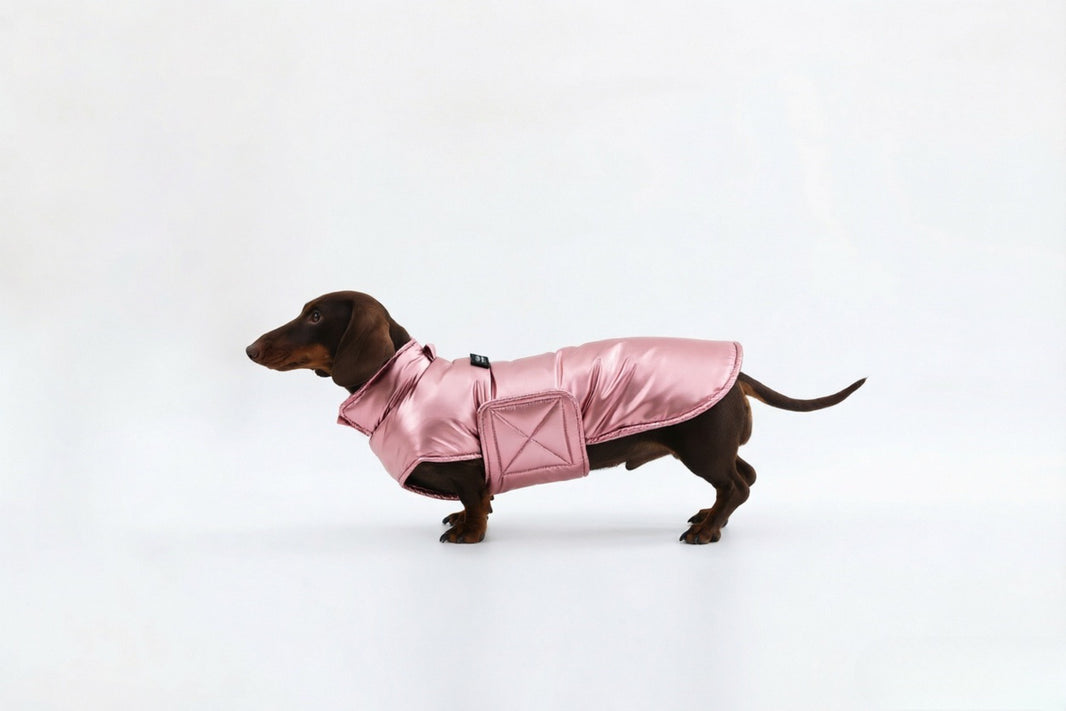 Pink Dachshund Coat|Long Back Dog Coat