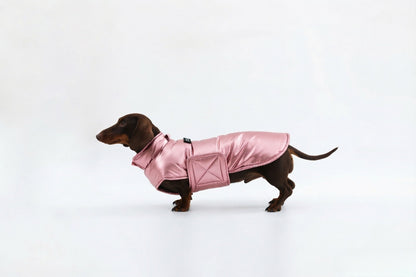 Silver Dachshund Coat|Long Back Dog Coat