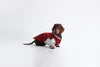Burgundy Dachshund Sweatshirt|Long Back Dog Sweatshirt