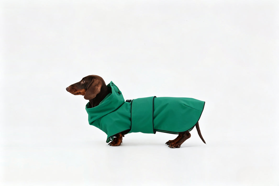 Green Dachshund Raincoat|Long Back Dog Raincoat