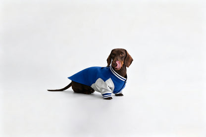 Burgundy Dachshund Sweatshirt|Long Back Dog Sweatshirt