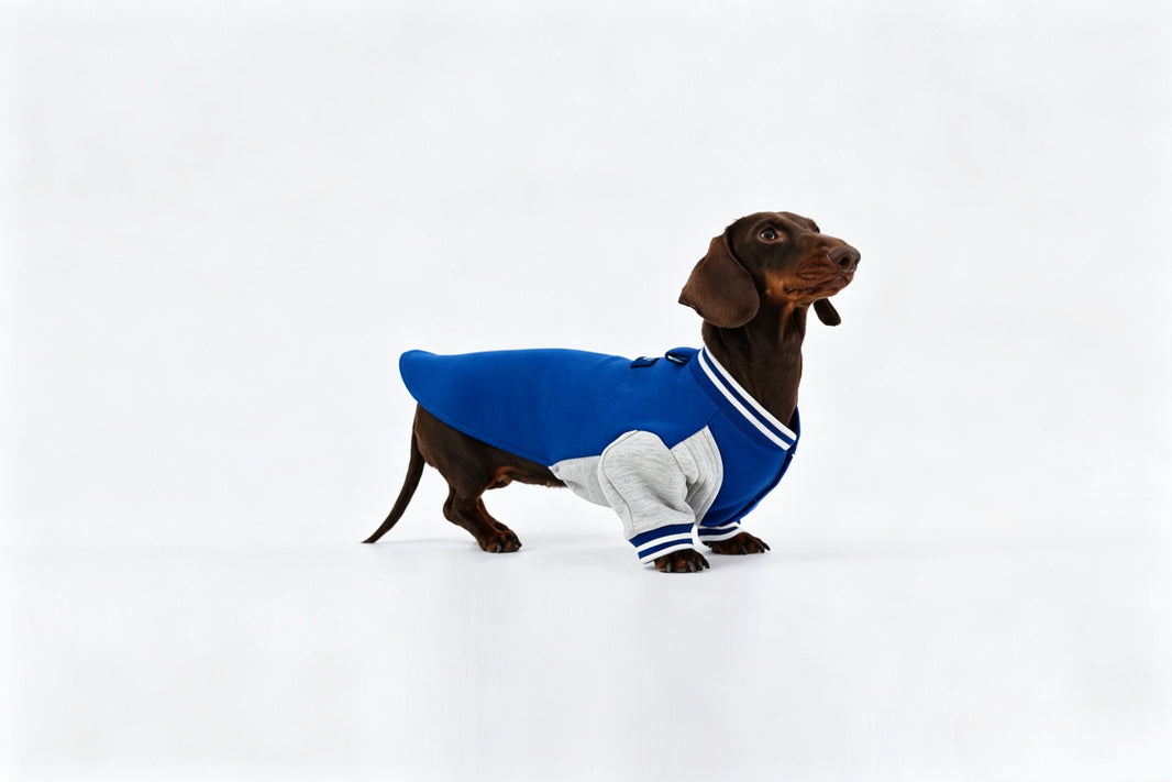 Navy Dachshund Sweatshirt|Long Back Dog Sweatshirt