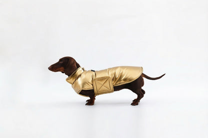 Silver Dachshund Coat|Long Back Dog Coat