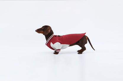 Burgundy Dachshund Sweatshirt|Long Back Dog Sweatshirt