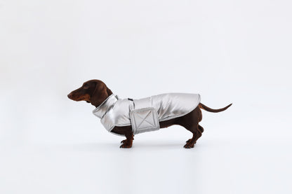 Silver Dachshund Coat|Long Back Dog Coat