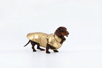 Silver Dachshund Coat|Long Back Dog Coat