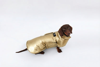 Silver Dachshund Coat|Long Back Dog Coat