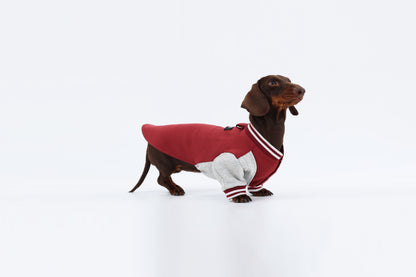 Burgundy Dachshund Sweatshirt|Long Back Dog Sweatshirt