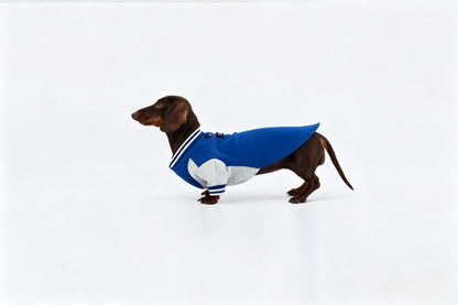 Burgundy Dachshund Sweatshirt|Long Back Dog Sweatshirt