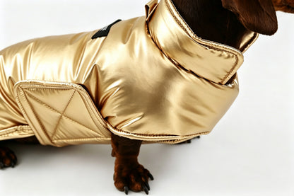 Silver Dachshund Coat|Long Back Dog Coat