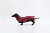 Wine Dachshund Coat|Long Back Dog Coat