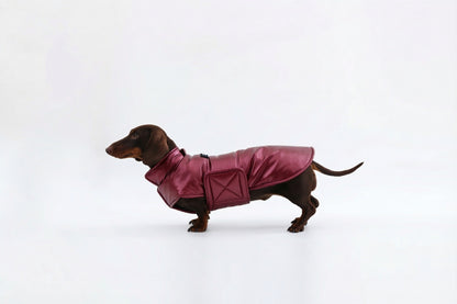 Silver Dachshund Coat|Long Back Dog Coat
