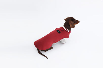 Burgundy Dachshund Sweatshirt|Long Back Dog Sweatshirt
