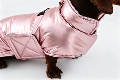 Silver Dachshund Coat|Long Back Dog Coat