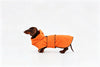 Orange Dachshund Raincoat|Long Back Dog Raincoat