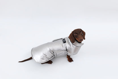 Silver Dachshund Coat|Long Back Dog Coat
