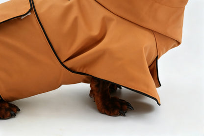 Beige Dachshund Raincoat|Long Back Dog Raincoat