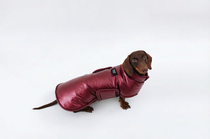 Silver Dachshund Coat|Long Back Dog Coat