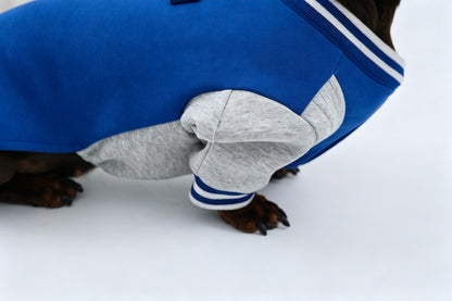 Burgundy Dachshund Sweatshirt|Long Back Dog Sweatshirt
